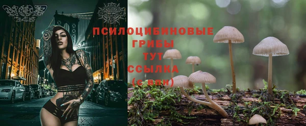 мескалин Вяземский