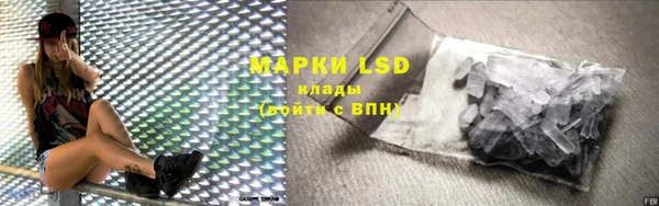 крисы Верея