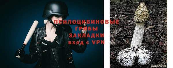 мескалин Вяземский