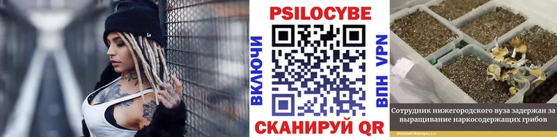 Галлюциногенные грибы Psilocybe  нарко площадка телеграм  Заринск 