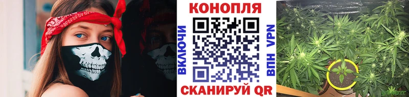 гидра ссылка  Заринск  МАРИХУАНА White Widow 